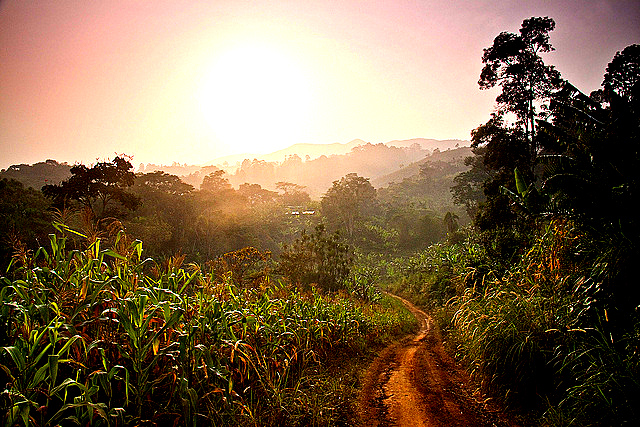 cameroun-photo-paysage